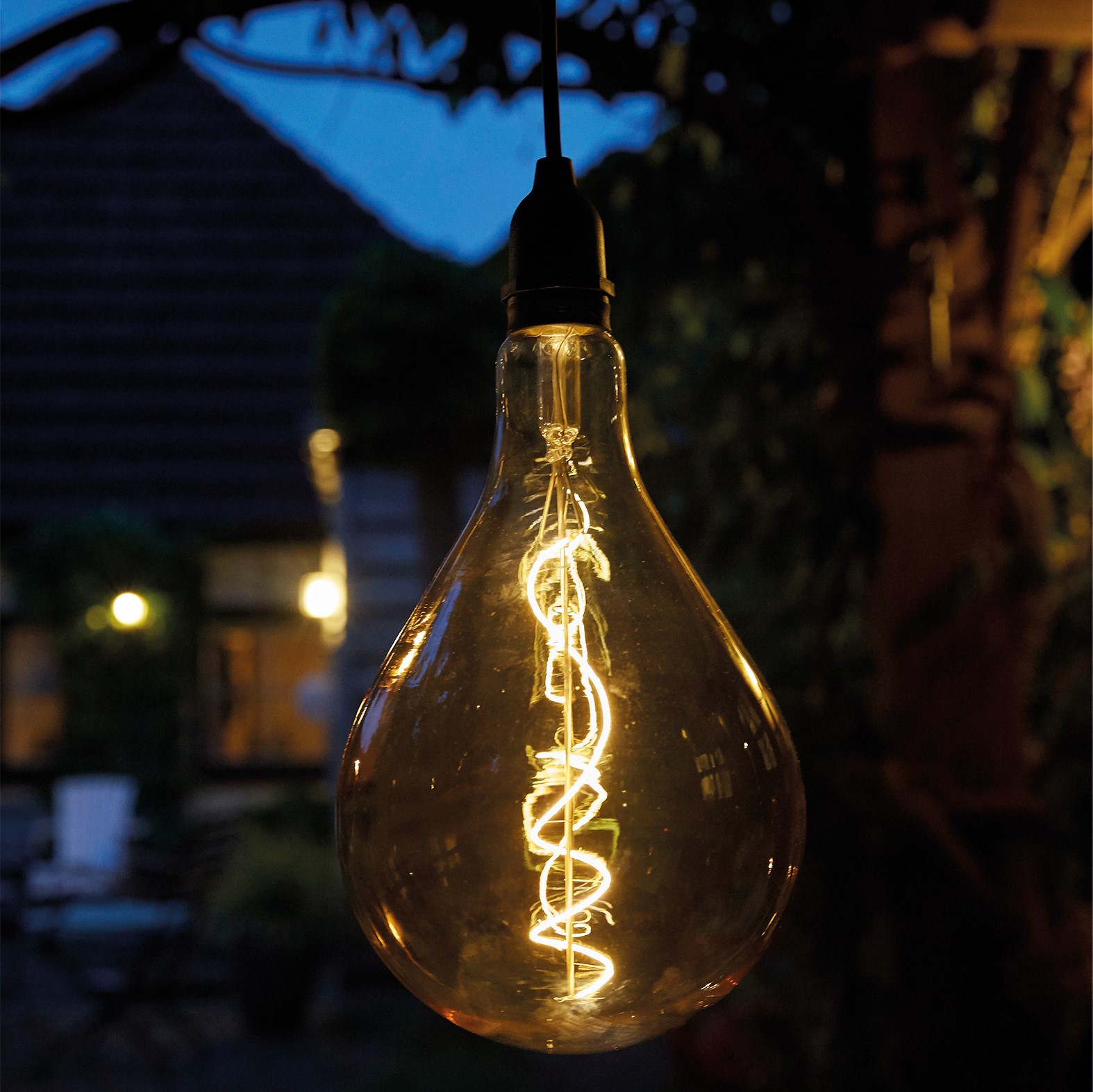 Raindrop Hanging Light Bulb - Image 2