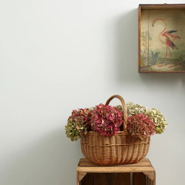 wall painted in serenity wall paint